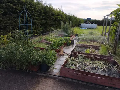 Ogród & Koło Domu Łukasz Filipczyk